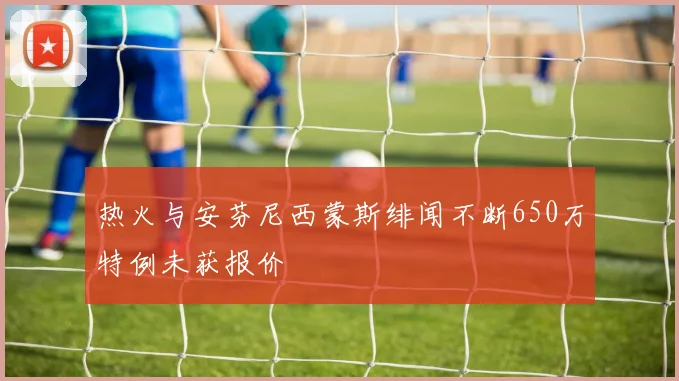 热火与安芬尼西蒙斯绯闻不断650万特例未获报价